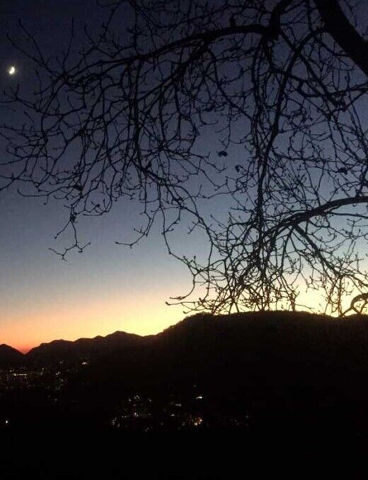 Sciamano-corsi- Lugano Sciamano-corsi- Lugano